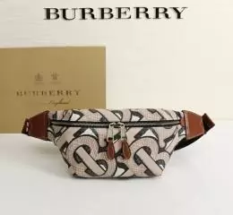 burberry aaa qualite sacs ceinture s_aaba67